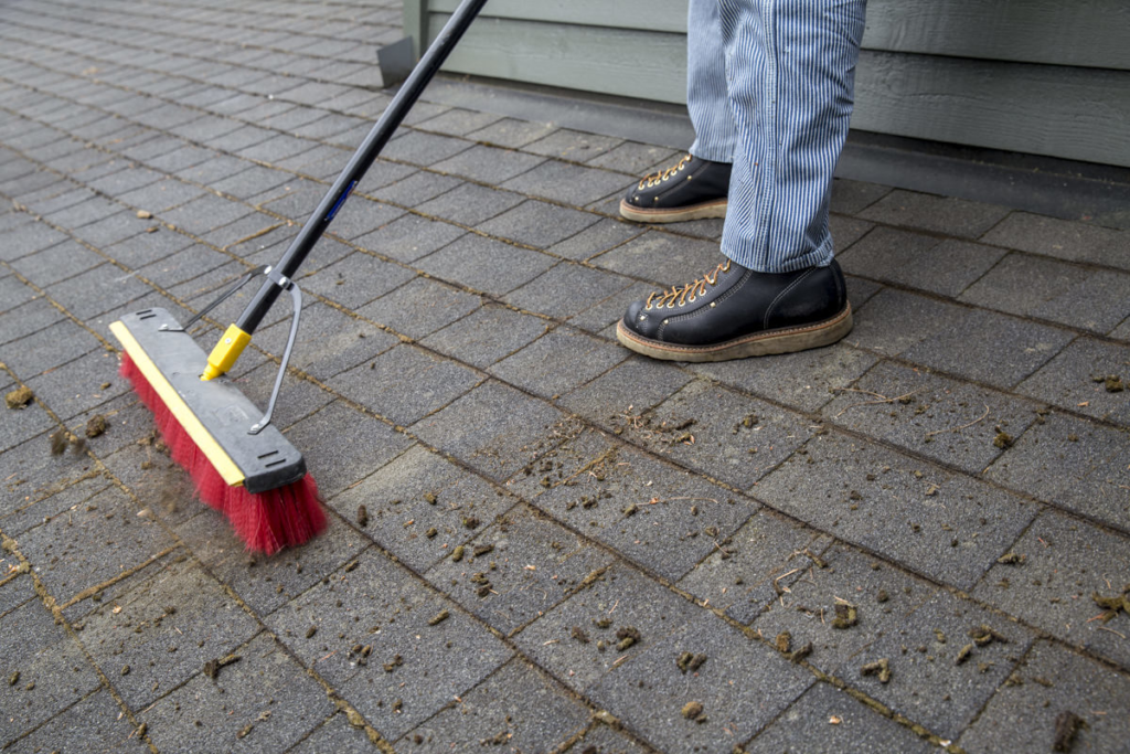 Cleaning moss off roof