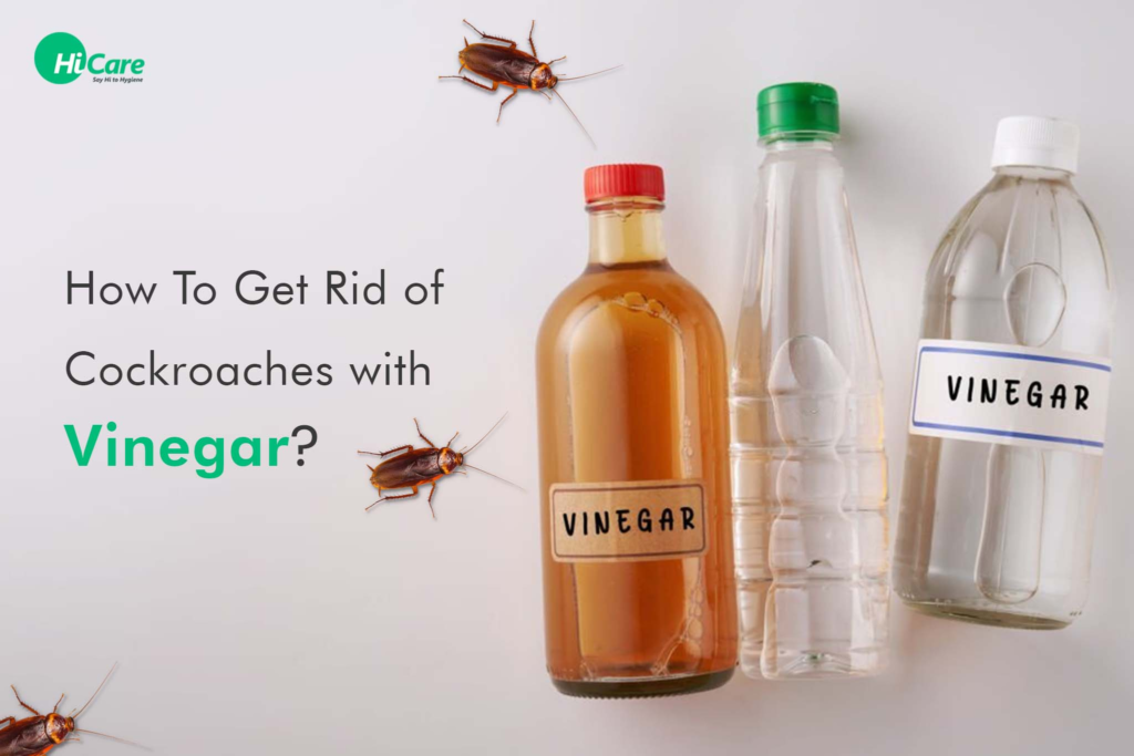 Cockroaches