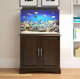 The Ultimate Guide to Choosing the Perfect Fish Tank Stand