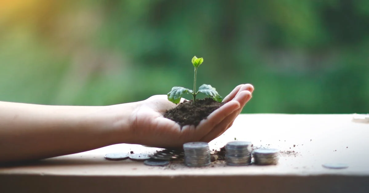 Green Entrepreneurship